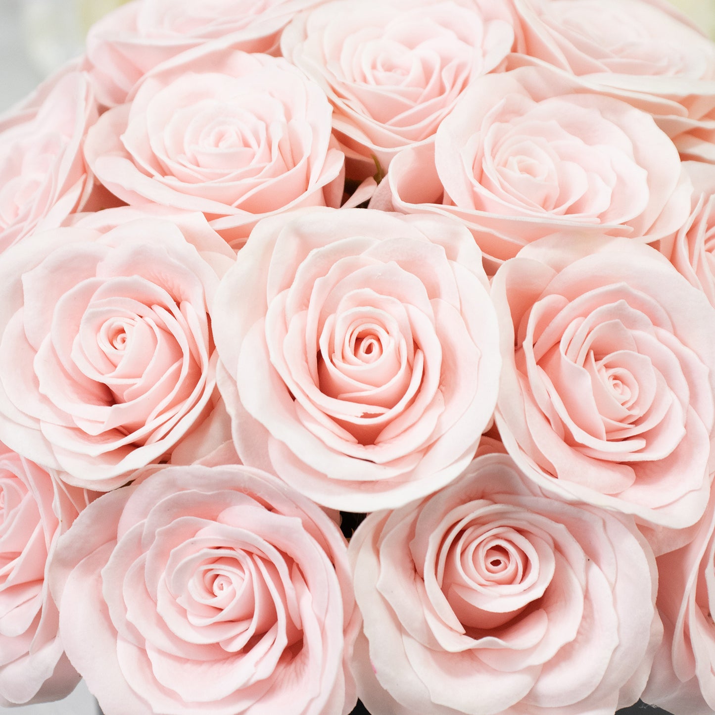 Blush pink rose centerpiece arrangement in a black gift box.