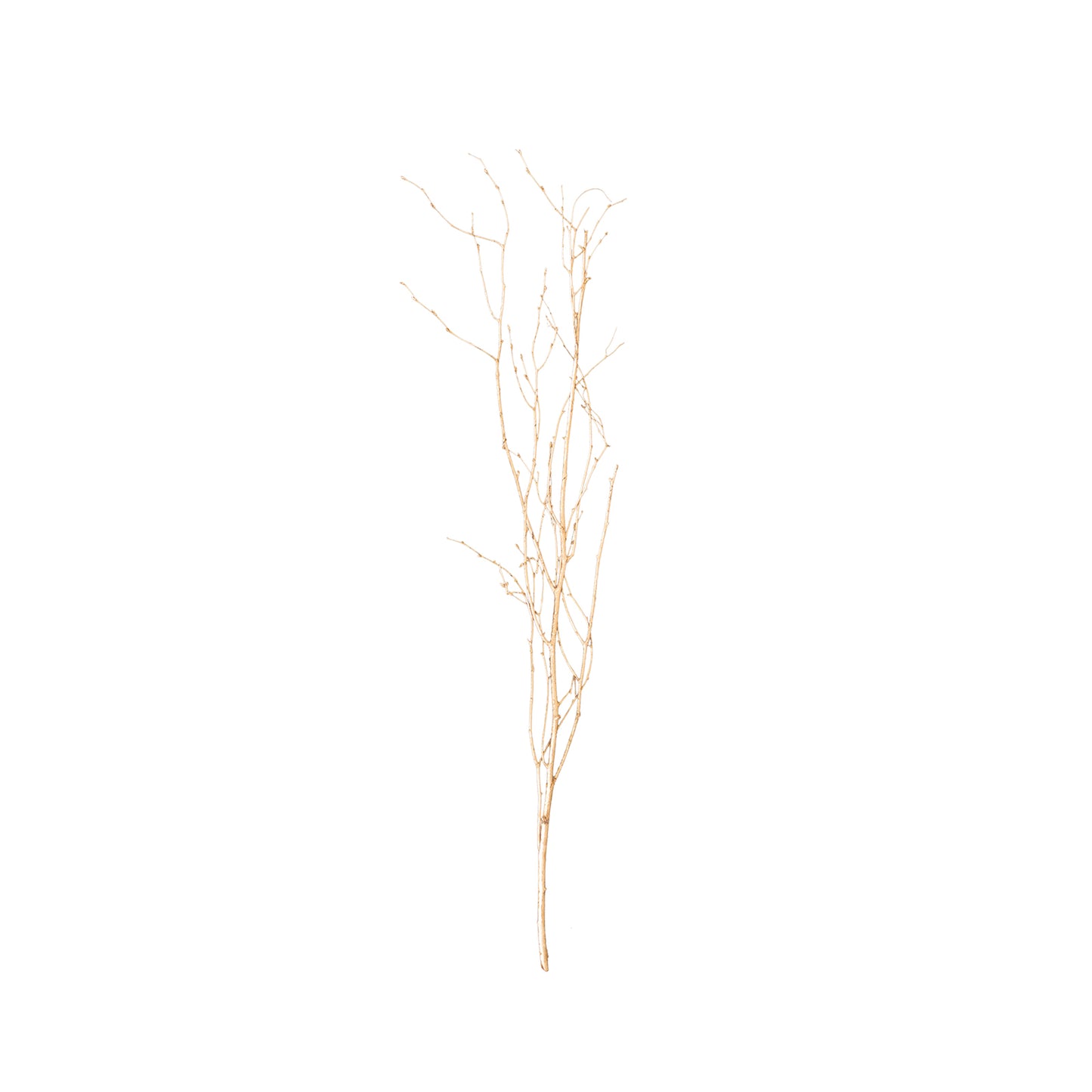 6 Pack Metallic Gold Extra Long Willow Tree Branches, 46" Natural Dried Birch Twigs Sticks Vase Fillers