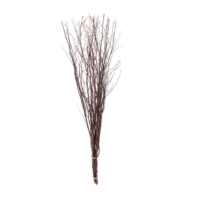 Enchanting Aesthetics of Natural Birch Branches Enchanting Aesthetics of Natural Birch Branches