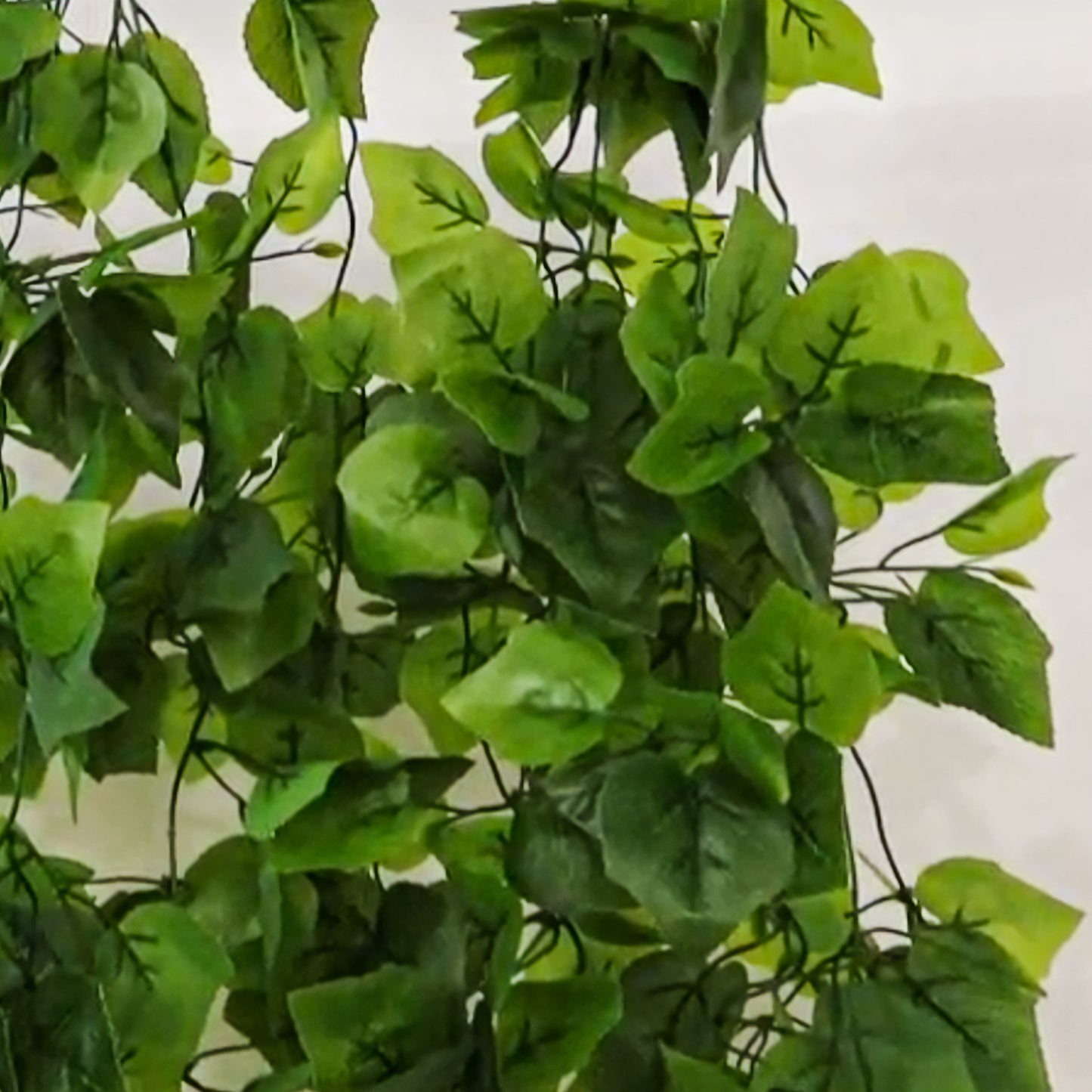 3ft artificial greenery with green cottonwood leaves for walls and backdrops.