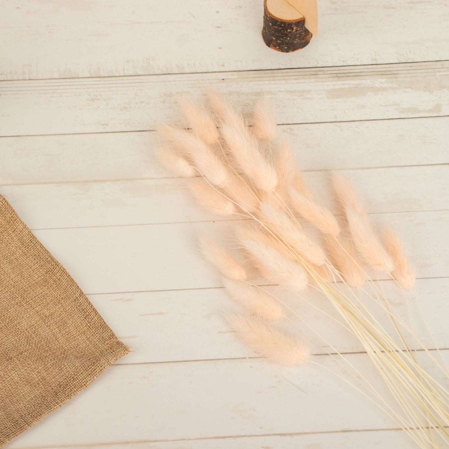 Blush rabbit tail dried pampas grass flower bouquet arrangement.