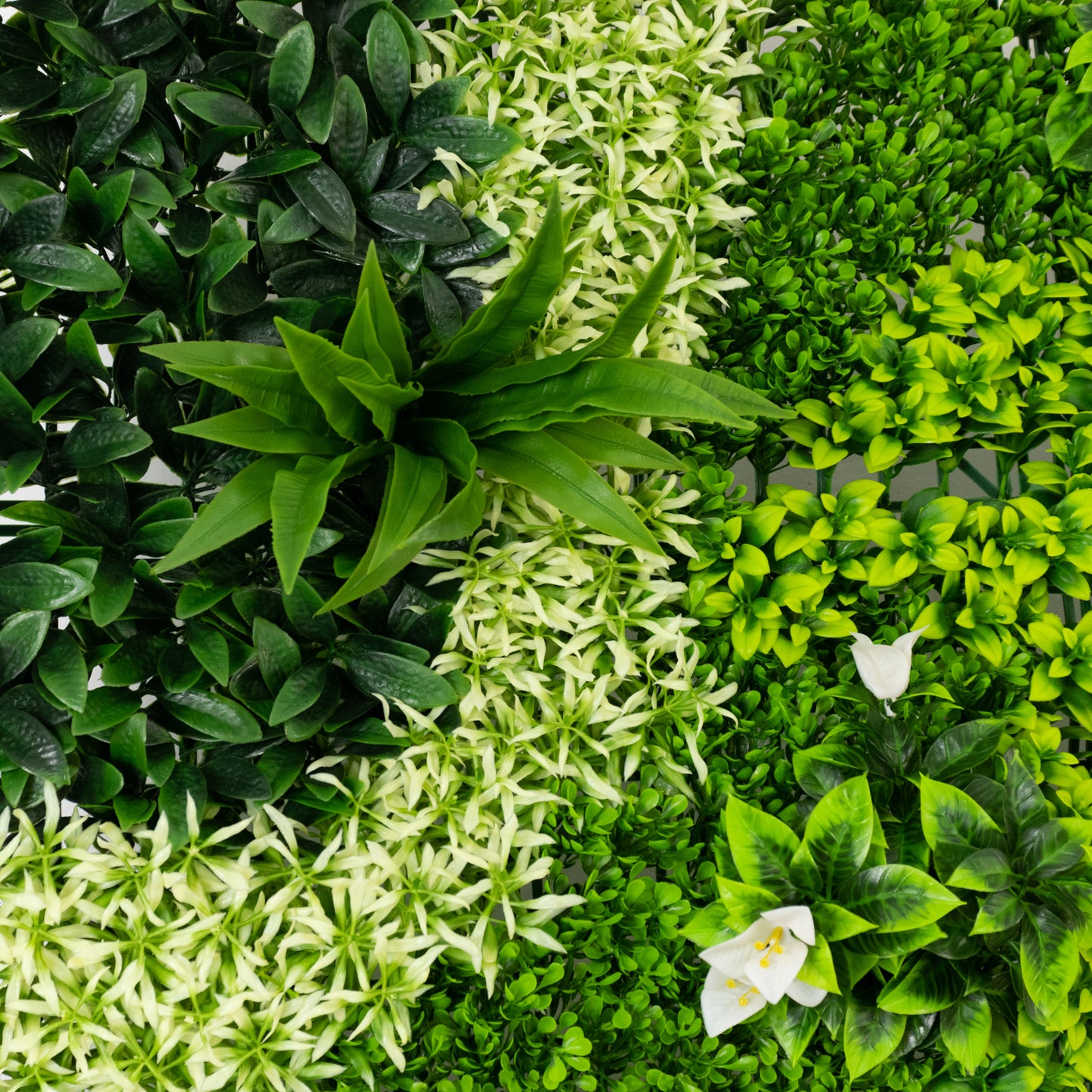 Artificial Boxwood Greenery Wall Panels, 40"×40" Grass Panels with Variegated Leaves and White Flowers, UV-Protected Backdrop for Outdoor Decor – 2 Panels, Covers 22 Sq. Ft.