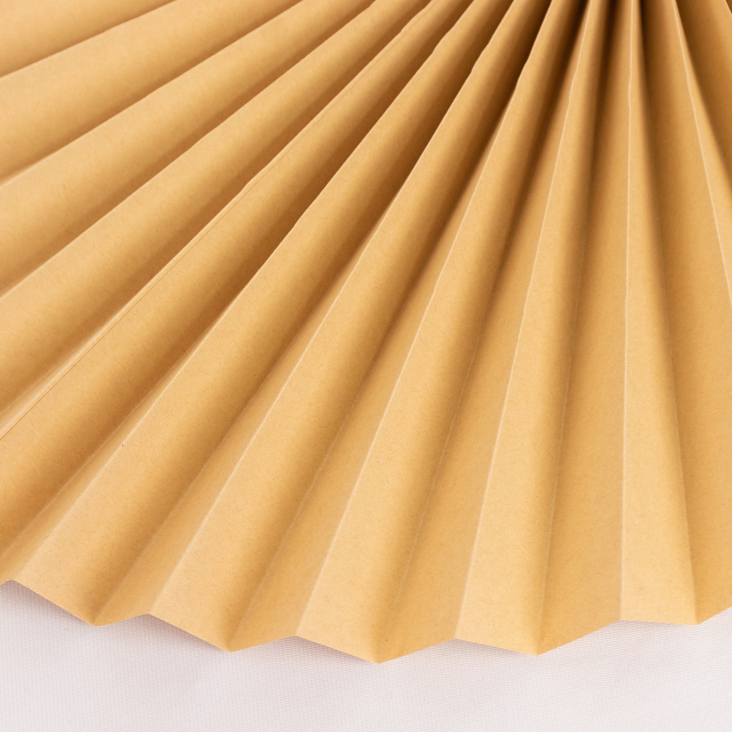 Natural dried palm leaves paper fan in warm beige, perfect for boho decor.