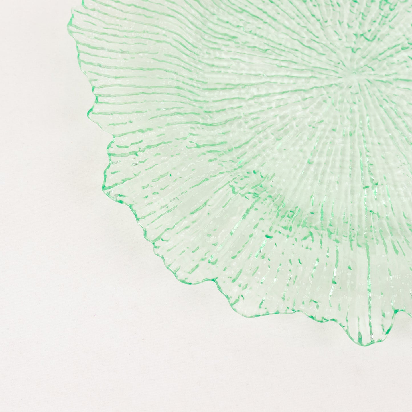 6 Pack 13" Transparent Green Round Reef Acrylic Plastic Charger Plates, Dinner Charger Plates