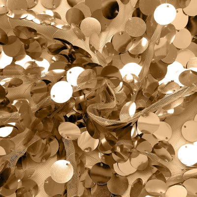 Shimmering Glamour for Picture-Perfect Moments Shimmering Glamour for Picture-Perfect Moments