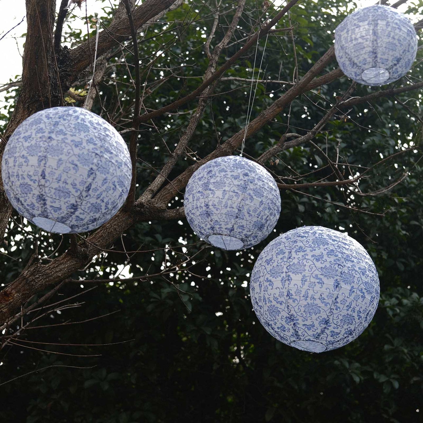 Set of 8 white and blue hanging Chinese lanterns in floral pattern.