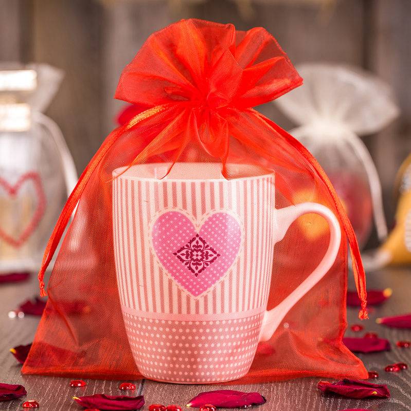 10 Pack | 6x9inches Red Organza Drawstring Wedding Party Favor Gift Bags