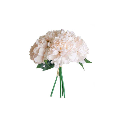 Realistic Appearance of Blush Peonies Realistic Appearance of Blush Peonies