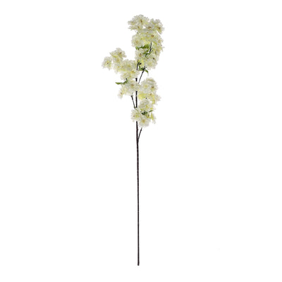 Lifelike Beauty of Cream Cherry Blossom Flowers Lifelike Beauty of Cream Cherry Blossom Flowers