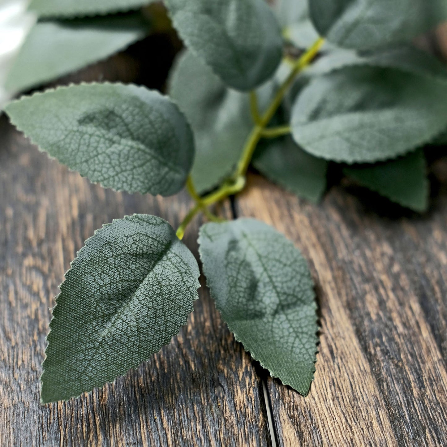 Frosted green artificial rose leaves for DIY projects.