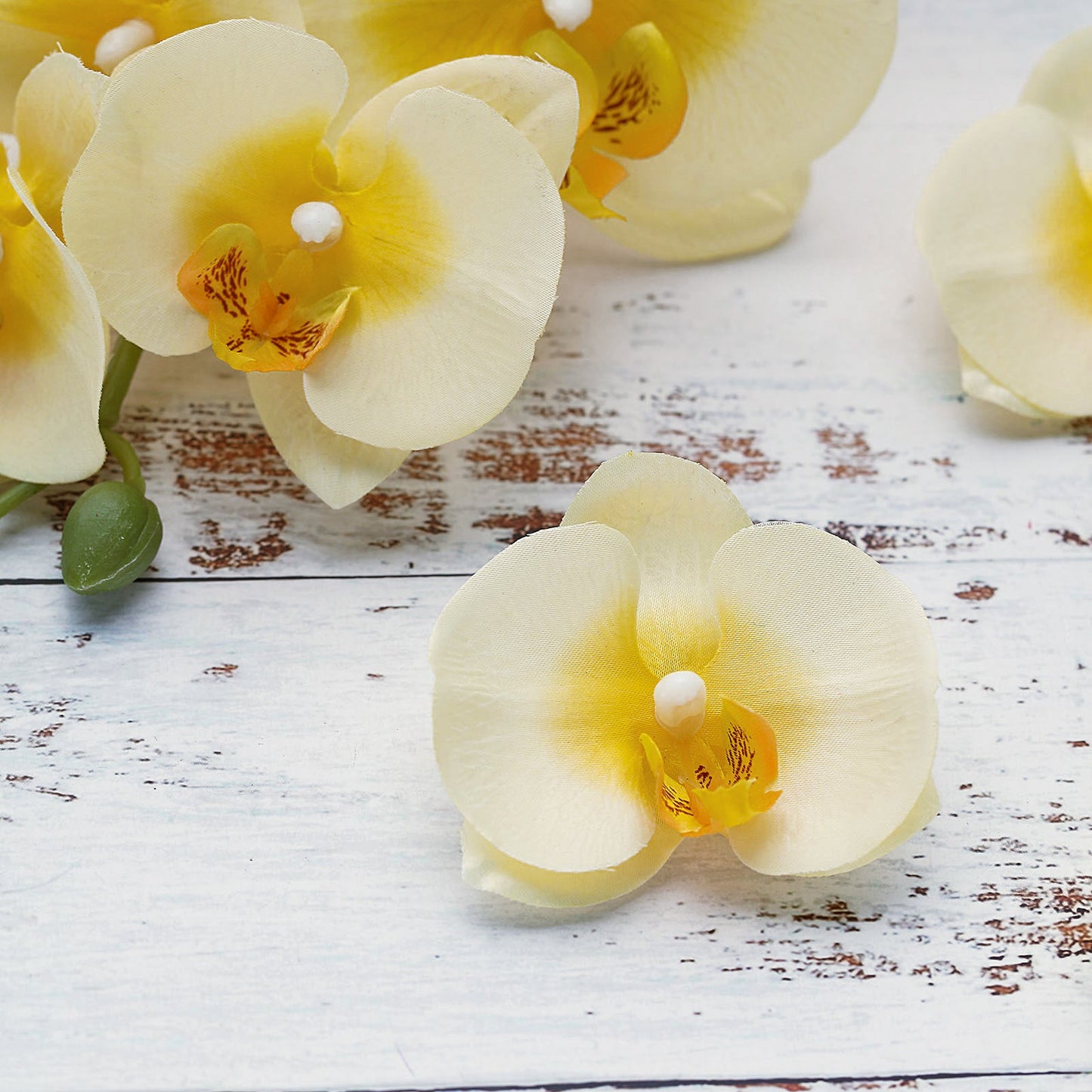 Yellow artificial silk orchids for DIY crafts.