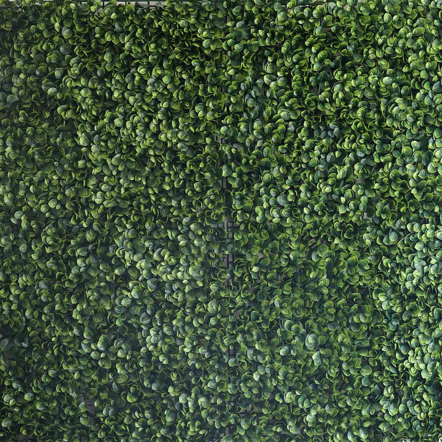 11 Sq ft. | Green Boxwood Hedge Garden Wall Backdrop Mat