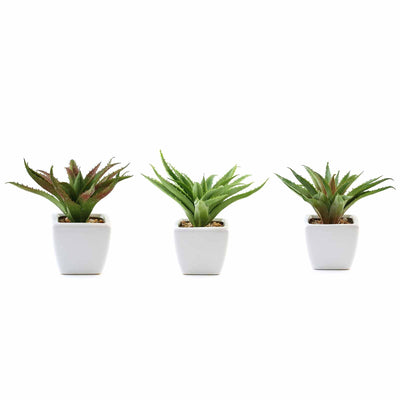 Stylish Ceramic Planter Pots Stylish Ceramic Planter Pots