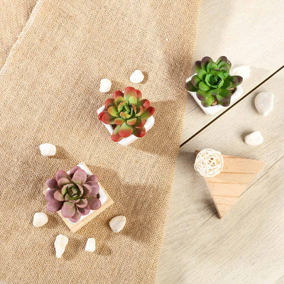 Versatile Decor for Any Occasion Versatile Decor for Any Occasion