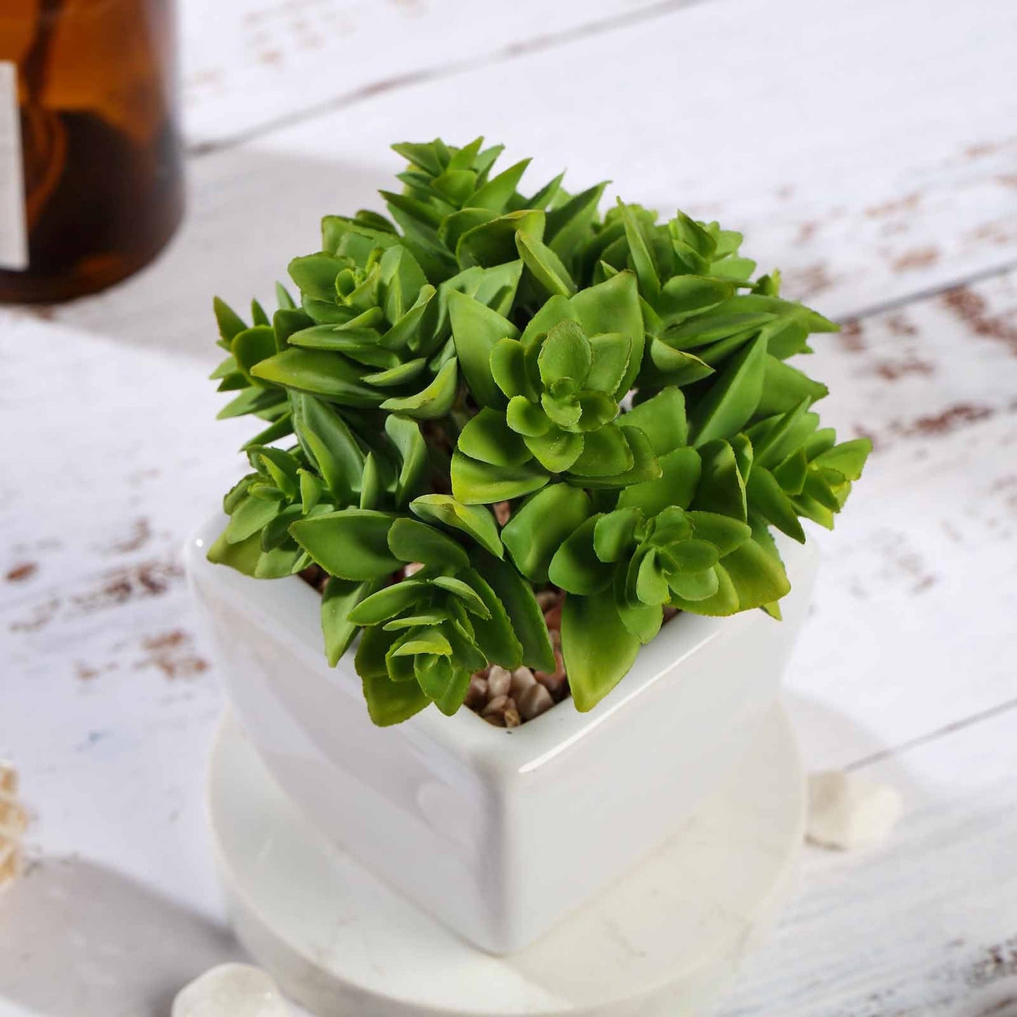 3 Pack Green Echeveria Artificial Plants Ceramic Planter Pot 4 Inch