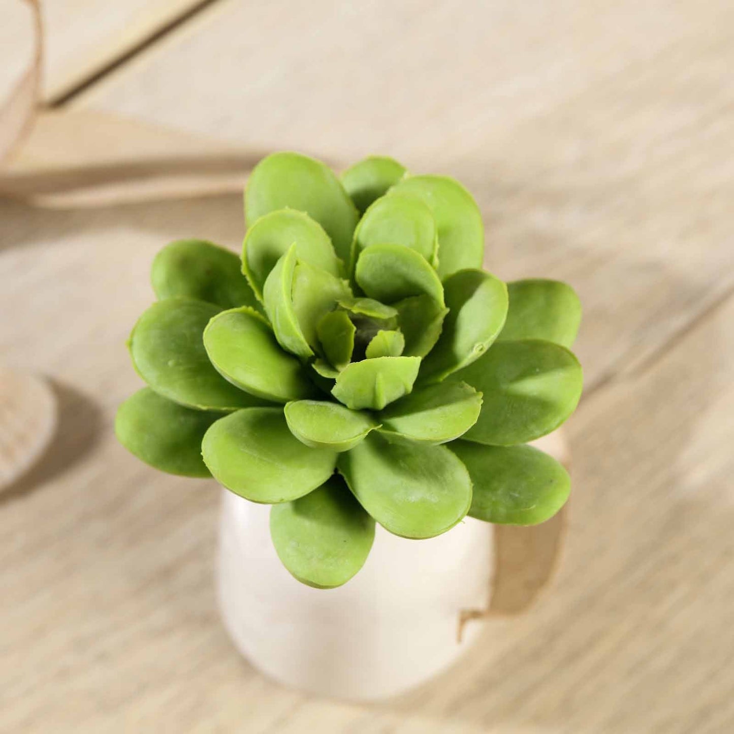 Green artificial PVC roundleaf echeveria succulent plant in a white pot.