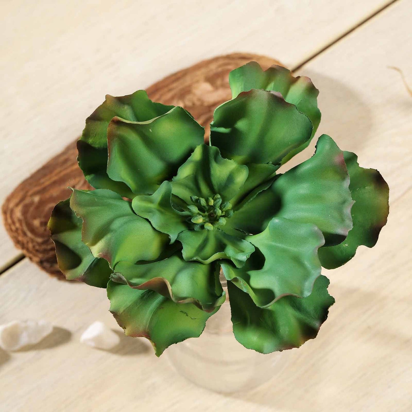 3 Pack Wavy Kalanchoe Decorative Succulent Artificial PVC Plants 6 Inch