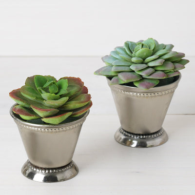 Versatile Uses for Any Occasion Versatile Uses for Any Occasion