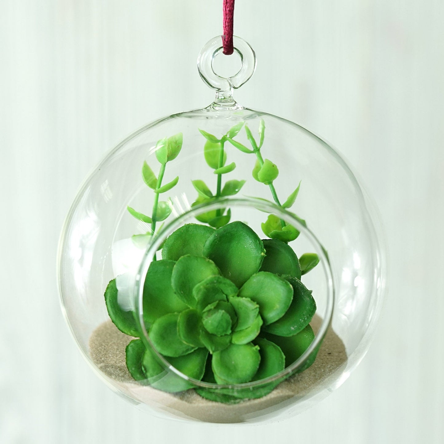 4 Pack | 4inch Air Plant Hanging Glass Globe Terrarium, Free-Falling Elegant Planter