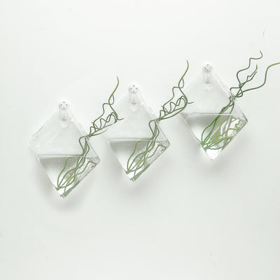 Versatile Hanging Planter Options Versatile Hanging Planter Options