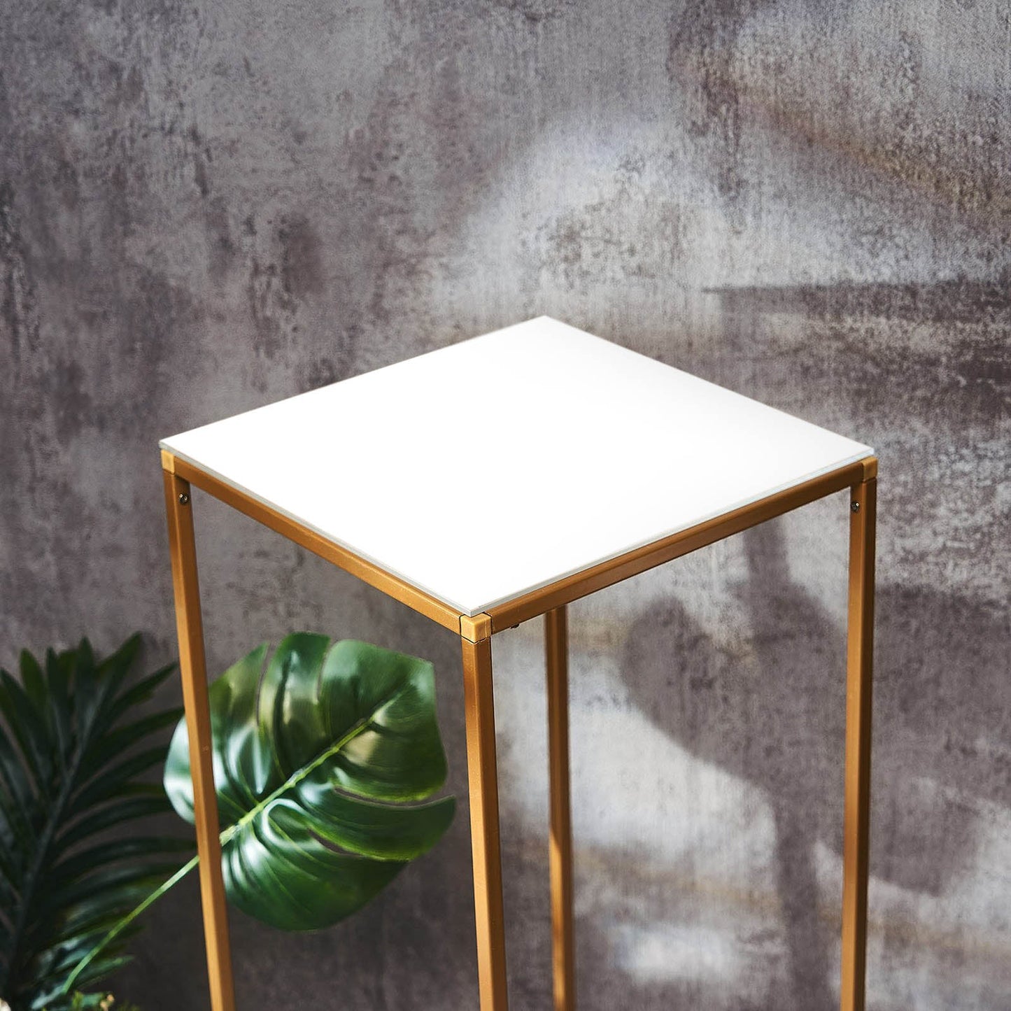 White acrylic square sheet on a gold table with a plant backdrop.