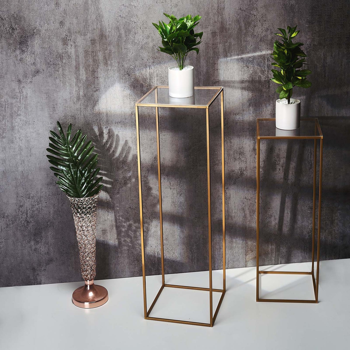 Clear acrylic plexiglass sheets on decorative stands with plants.