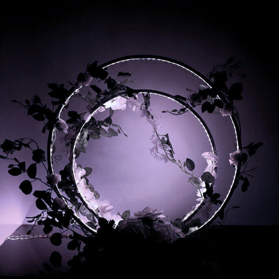 Energy Efficiency Meets Brightness Energy Efficiency Meets Brightness