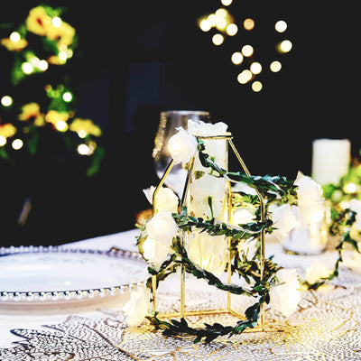 Warm White Glow for a Captivating Atmosphere Warm White Glow for a Captivating Atmosphere