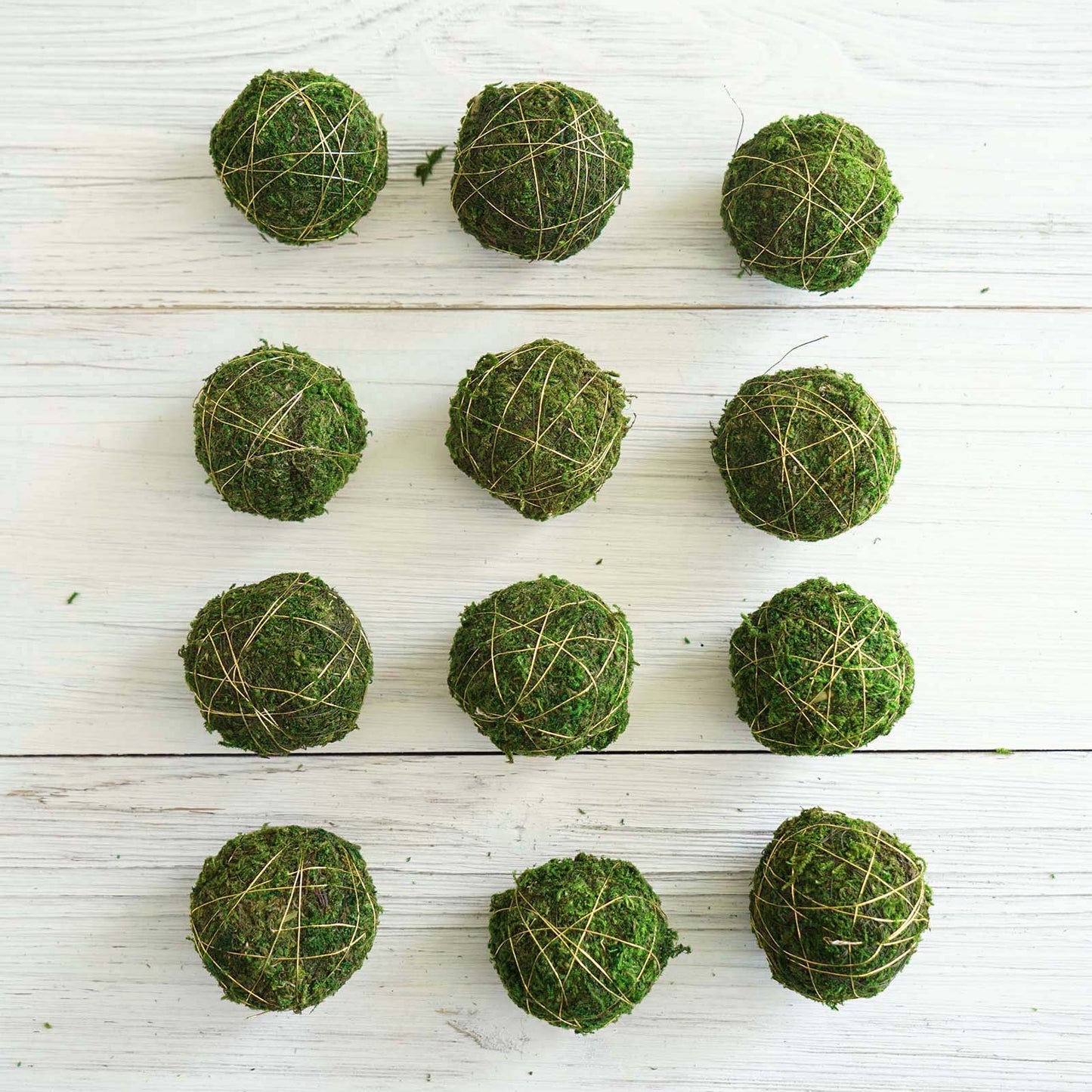 Green moss ball vase fillers with golden twine, 12-pack.