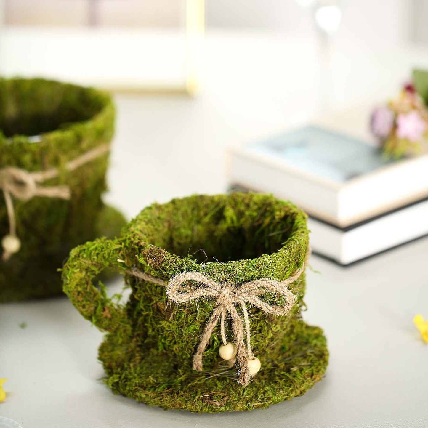 Green moss teacup planter with twine, set of 2 flower baskets.