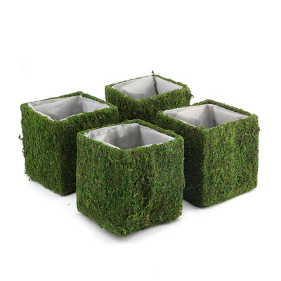 Natural Elegance with Moss Covered Planter Boxes Natural Elegance with Moss Covered Planter Boxes