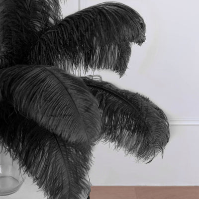 Quality and Safety of Our Ostrich Feathers Quality and Safety of Our Ostrich Feathers