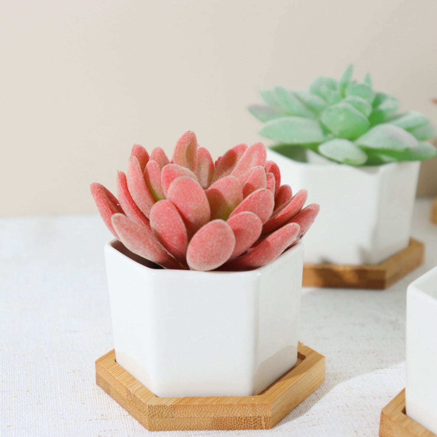 3 Inch White Geometric Hexagon Ceramic Planters with Drainage Hole Bamboo Tray Base and Removable Bottom 6 Pack