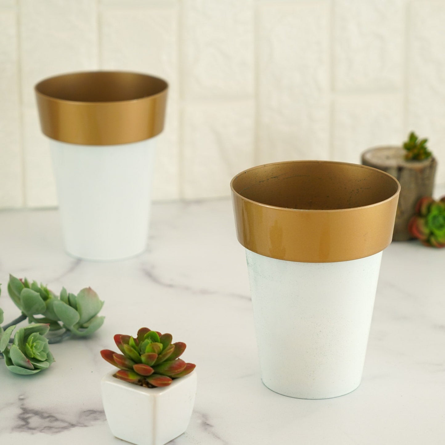 White gold rimmed medium flower plant pots on a marble surface.