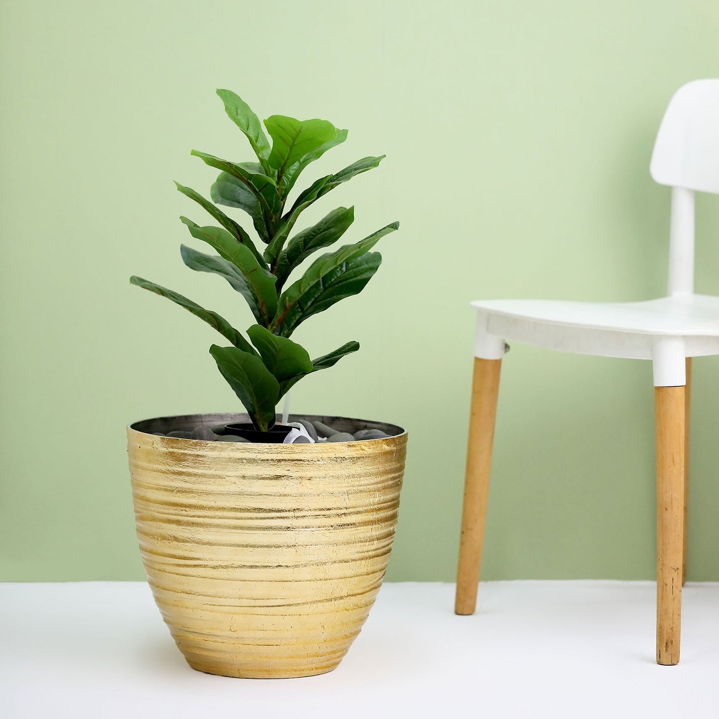 Metallic gold textured indoor flower plant pot with green foliage.