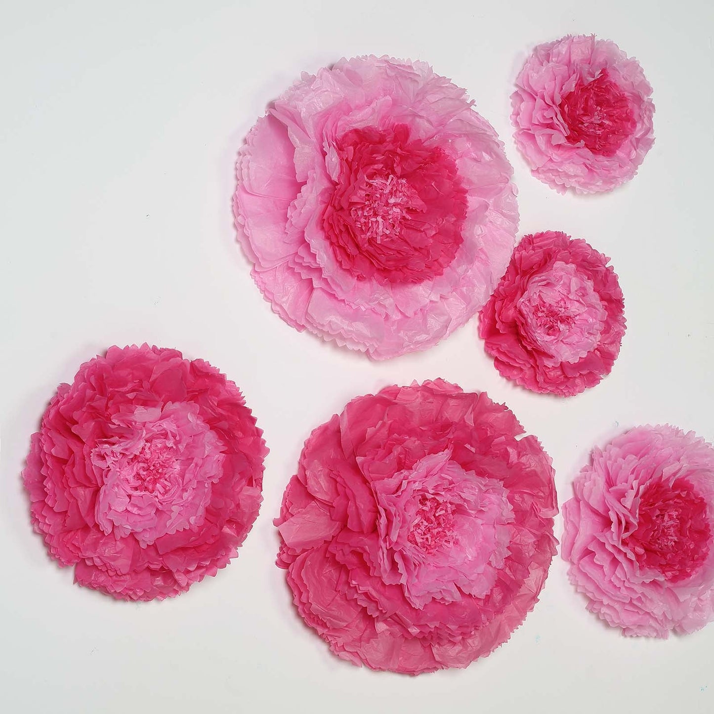 Pack of 6 pink multi-size 3D giant paper carnation flowers for backdrops.