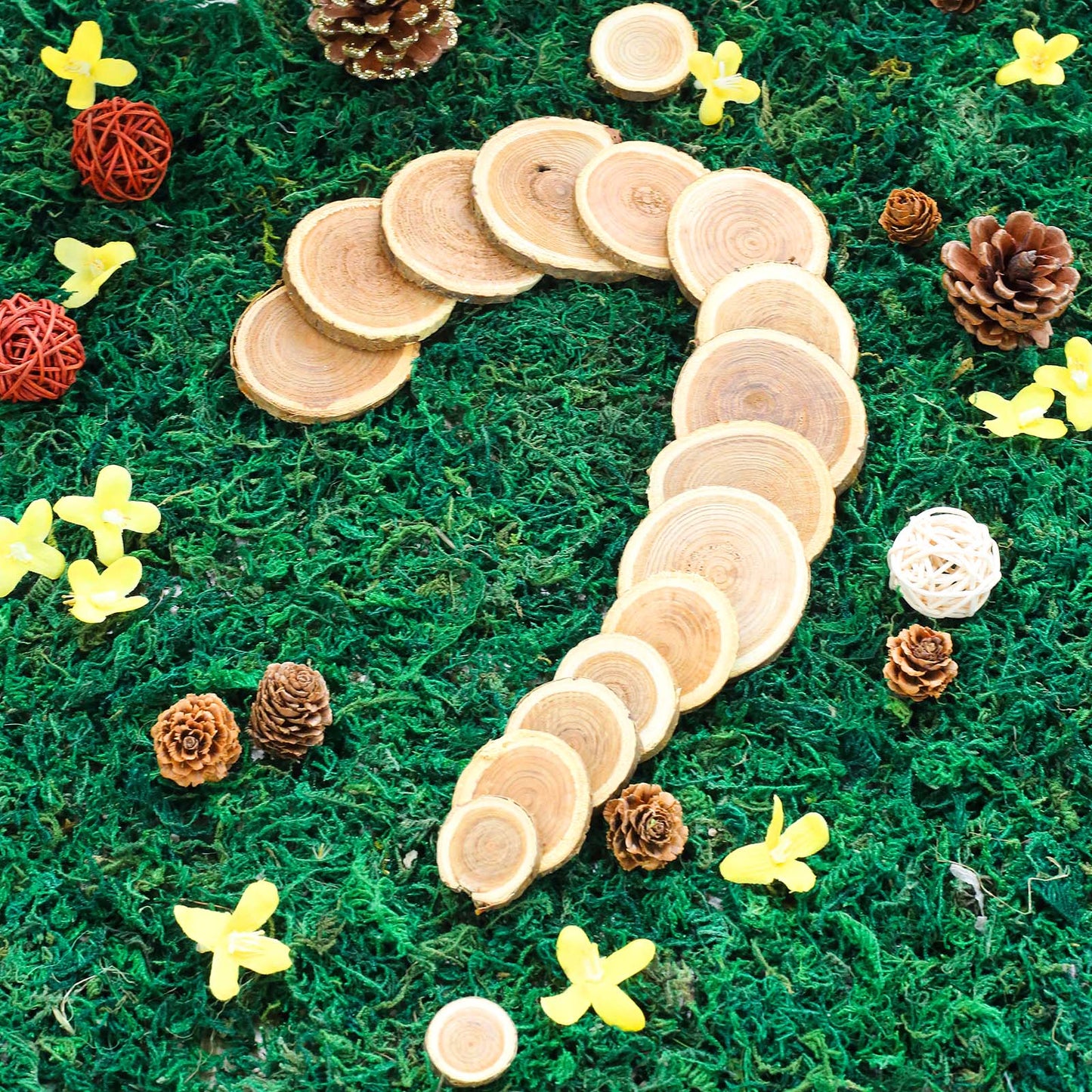 Rustic cedar wood slices for wedding table scatters on green moss.