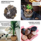 Assorted natural polished decorative stones for vases and landscaping.