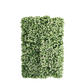 11 Sq ft. | White Tip Green Boxwood Hedge Genlisea Garden Wall Backdrop Mat