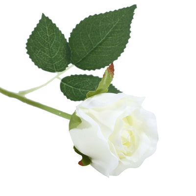 Realistic Appearance of Cream Long Stem Roses