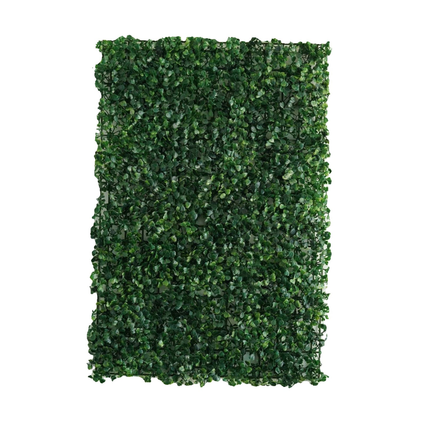 11 Sq ft. | Dark Green Boxwood Hedge Garden Wall Backdrop Mat - 4 Artificial Panels