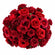 Mixed red