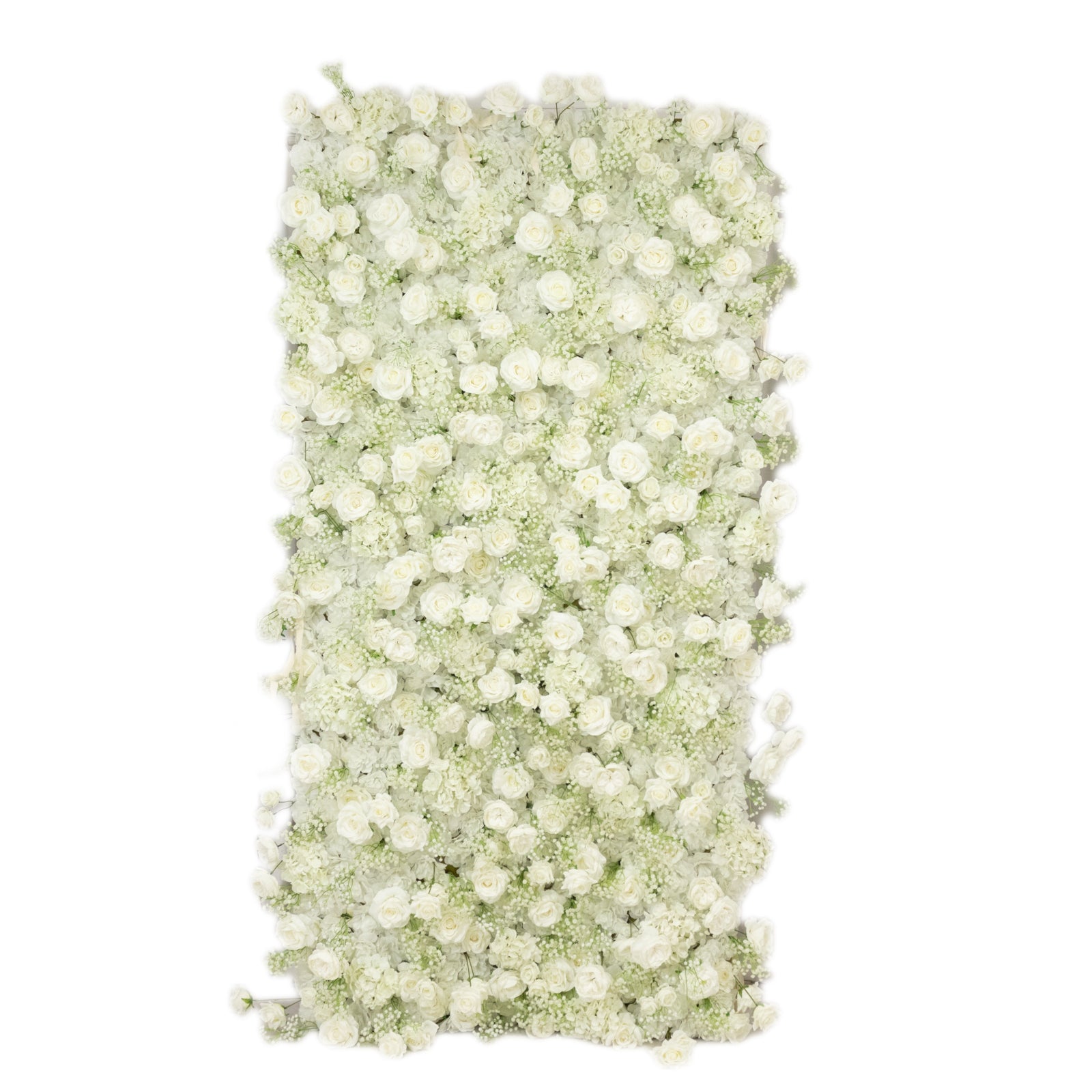 White silk rose wall panel backdrop with baby's breath.