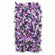 Lavender lilac