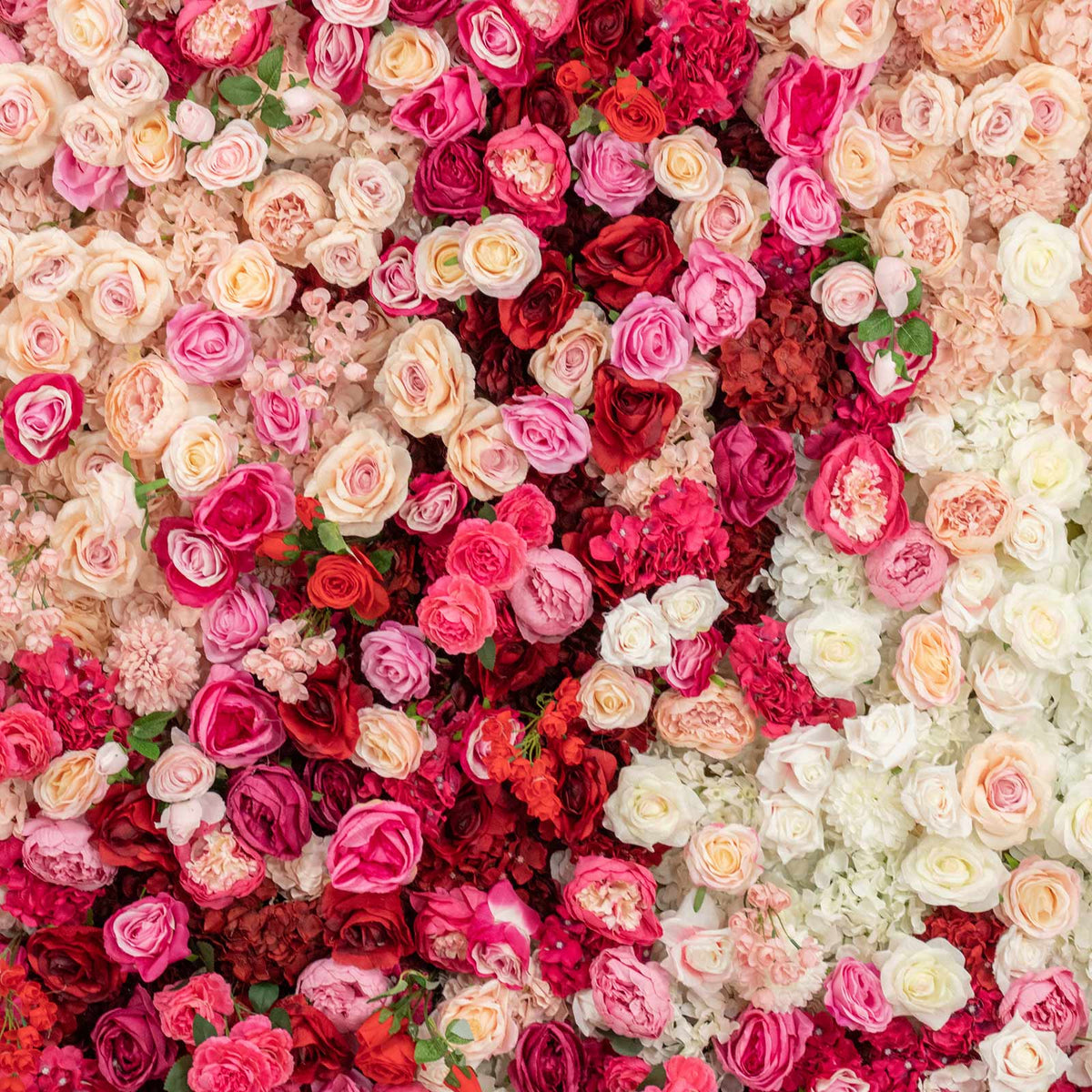 8ft x 4ft Roll Up Flower Wall Panel Backdrop - Mixed White, Pink & Red Silk Roses, Hydrangeas & Peon