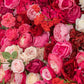 8ft x 4ft Roll Up Flower Wall Panel Backdrop - Mixed White, Pink & Red Silk Roses, Hydrangeas & Peon