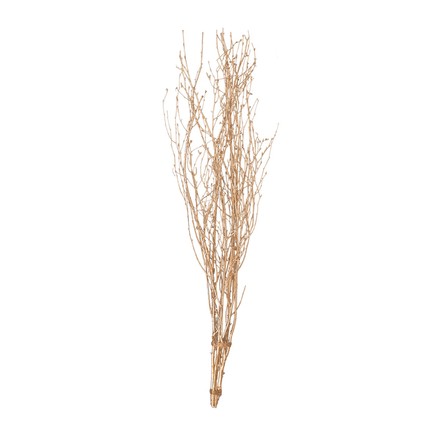 6 Pack Metallic Gold Extra Long Willow Tree Branches, 46" Natural Dried Birch Twigs Sticks Vase Fillers#whtbkgd