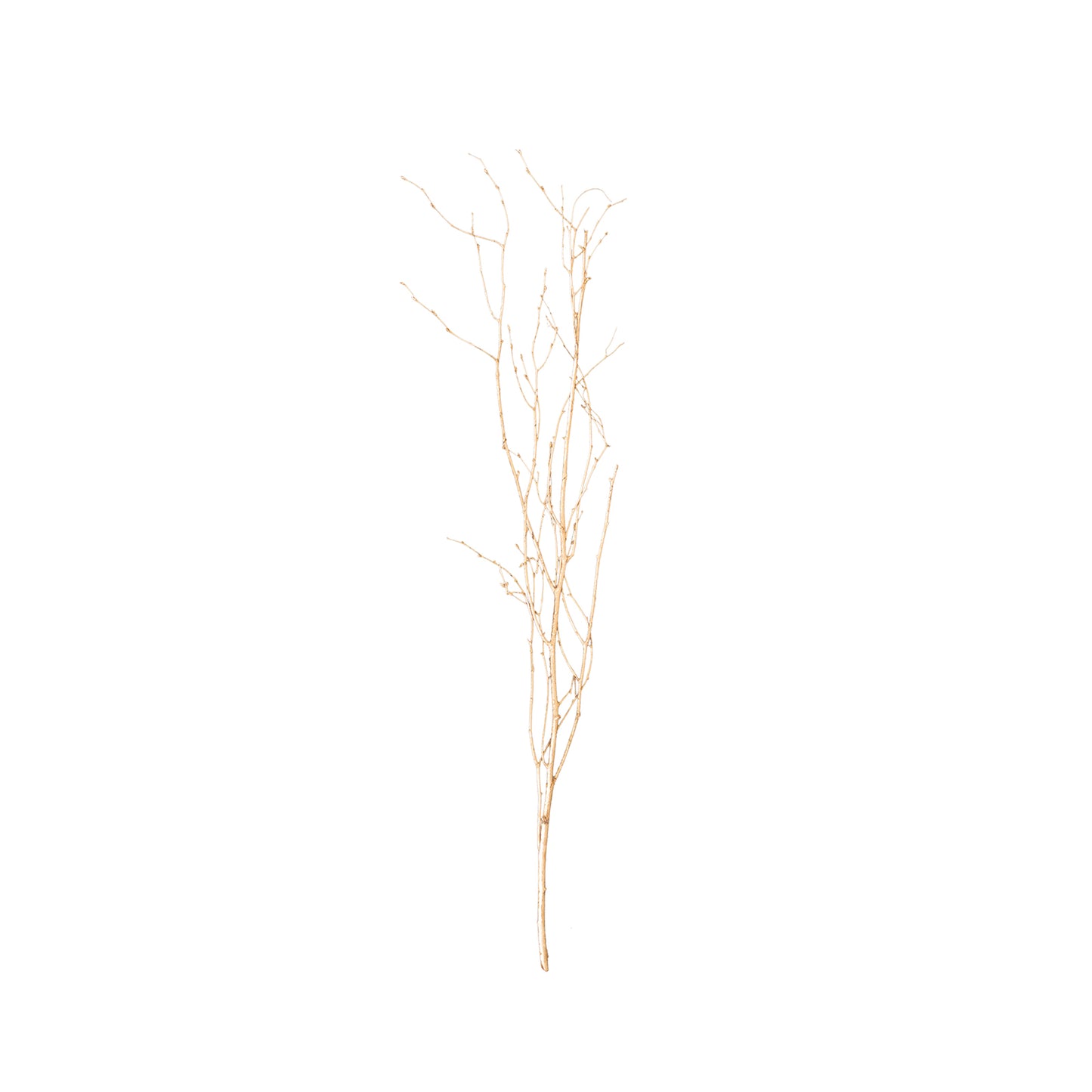 6 Pack Metallic Gold Extra Long Willow Tree Branches, 46" Natural Dried Birch Twigs Sticks Vase Fillers