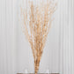 6 Pack Metallic Gold Extra Long Willow Tree Branches, 46" Natural Dried Birch Twigs Sticks Vase Fillers