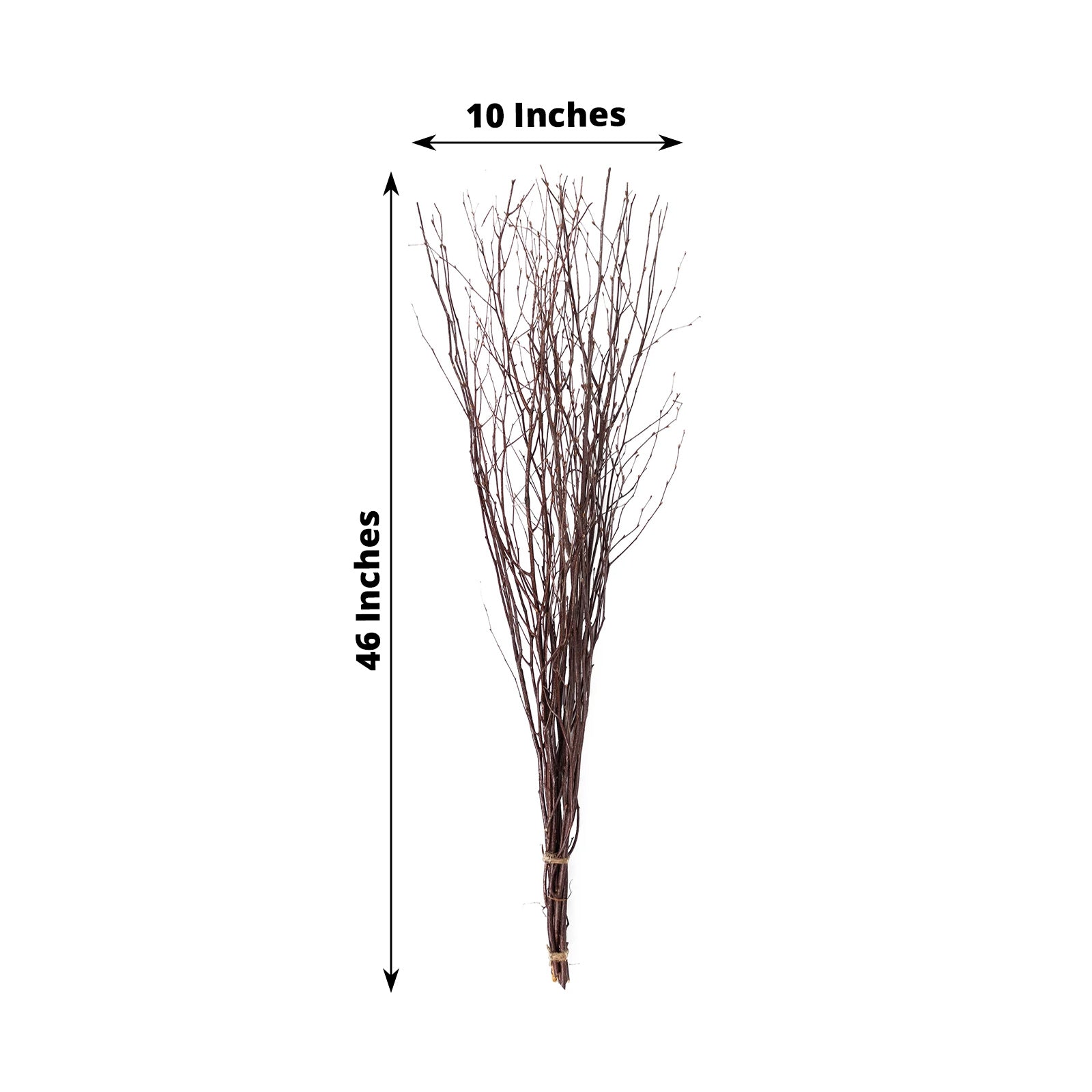 6 Pack Natural Extra Long Willow Tree Branches, 46" Natural Dried Birch Twigs Sticks Vase Fillers